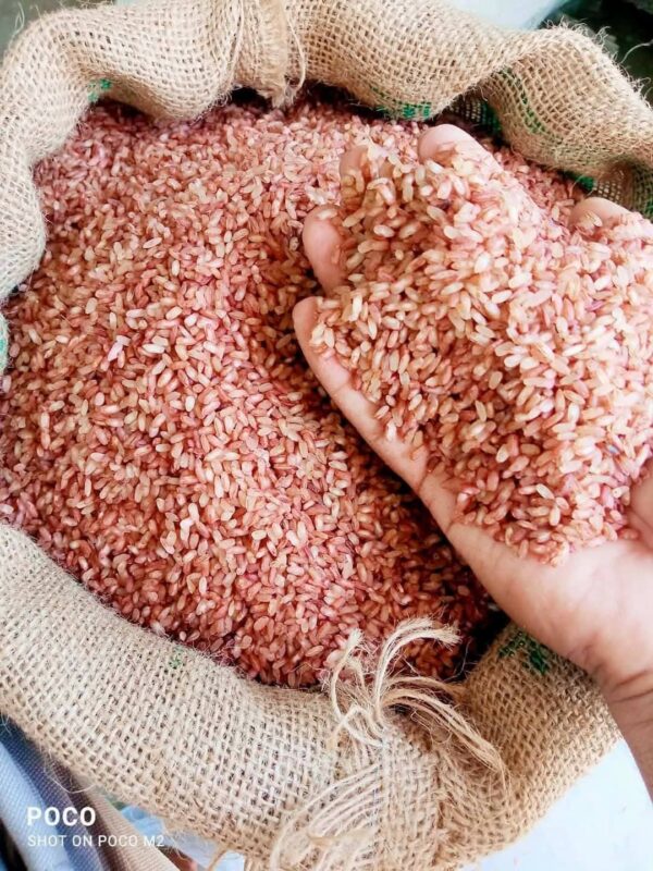 Tepa Boro Half fiber (লাল টেপা বোরো) 5 কেজি