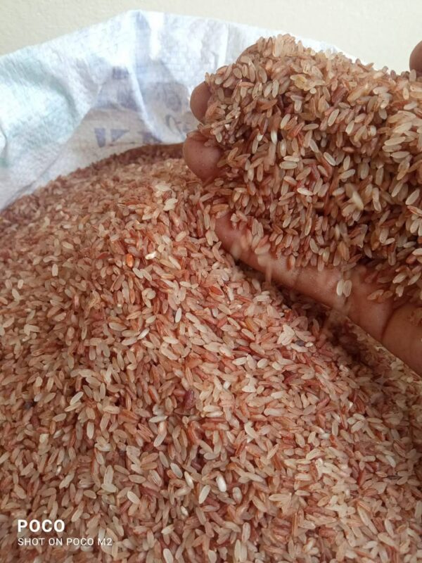 Tepa Boro Half fiber (লাল টেপা বোরো) 5 কেজি - Image 3