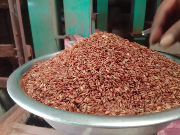 Tepa Boro Half fiber (লাল টেপা বোরো) 5 কেজি - Image 2